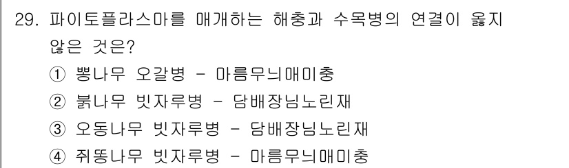 산림기사 2021년 29번 - 붉나무 빛자루병은 담배잡초와 관련이 있으며, 해충과 수목병의 연관성이 적... 에 관한 핵심 기출문제