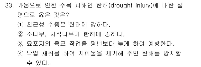 산림기사 2021년 33번 - 소나무와 자작나무는 가뭄에 특히 민감하여 수피가 갈라지거나 고사하는 피해... 에 관한 핵심 기출문제
