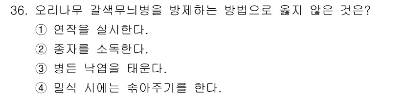 산림기사 2021년 36번 - . 연작을 실시한다.

정답인 이유: 오리나무 갈색무늬병은 연작이 병원균... 에 관한 핵심 기출문제