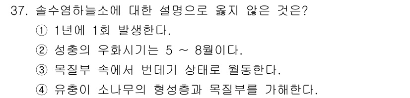 산림기사 2021년 37번 - 유촉이 소나무의 형성층과 목질부를 가해하는 것은 사실이 아닙니다. 유촉은... 에 관한 핵심 기출문제