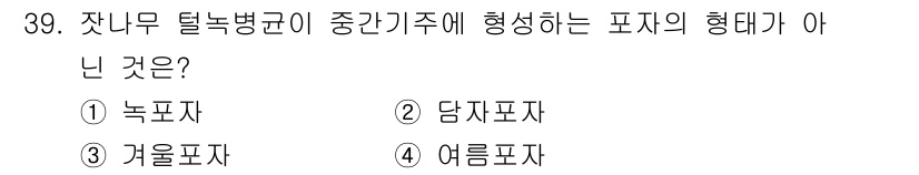 산림기사 2021년 39번 - . 

잔나무 탈녹병균이 형성하는 포자의 형태는 담자포자, 겨울포자, 여... 에 관한 핵심 기출문제