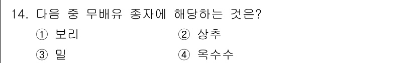 종자기사 2021년 14번 - . 상추  
상추는 여러 해충과 질병에 영향을 받기 쉬운 무배유 식물 중... 에 관한 핵심 기출문제