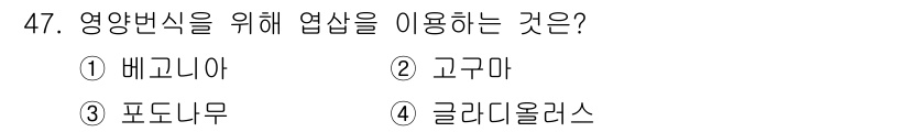 종자기사 2021년 47번 - . 배고니아  
배고니아는 영양번식에 적합한 식물로, 여러 환경에서도 잘... 에 관한 핵심 기출문제