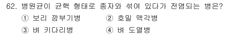 종자기사 2021년 62번 - 정답은 2. 호밀 맥각병이다. 호밀 맥각병은 병원균이 종자에 의해 전염되... 에 관한 핵심 기출문제
