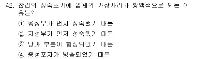 수산양식기사 2021년 42번 - . 엽체의 기부로 황백색이 되는 이유는 응생부가 먼저 성숙하기 때문입니다... 에 관한 핵심 기출문제