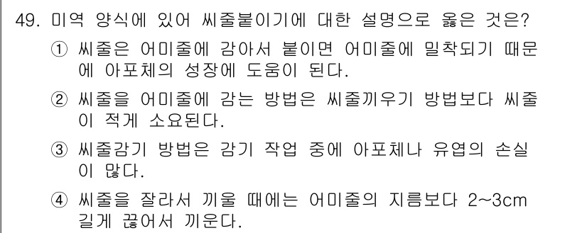 수산양식기사 2021년 49번 - 정답 4번은 씨줄을 갈라서 끼울 때 어미체의 지름보다 2-3cm 길게 끼... 에 관한 핵심 기출문제