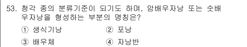 수산양식기사 2021년 53번 - 정답은 2번 "포낭"이다. 포낭은 청각 종의 번식기준이 되는 부위로, 수... 에 관한 핵심 기출문제