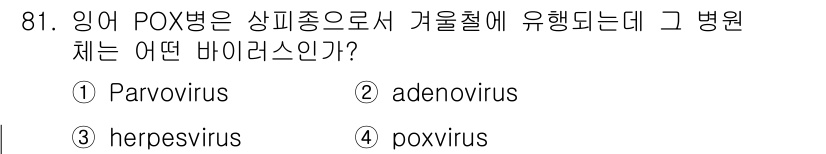 수산양식기사 2021년 81번 - 정답은 3. poxvirus입니다. 인어 POX병은 poxvirus에 의... 에 관한 핵심 기출문제