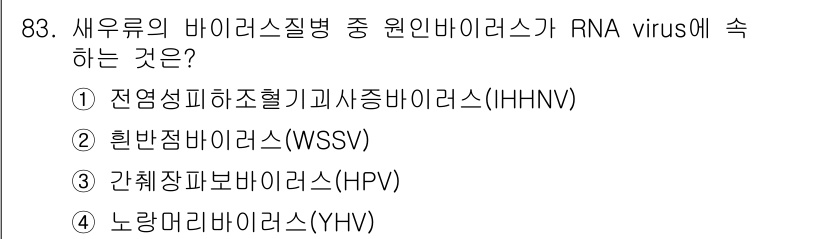 수산양식기사 2021년 83번 - 정답은 4. 노랑줄바리바이러스(YHV)입니다. YHV는 RNA 바이러스로... 에 관한 핵심 기출문제