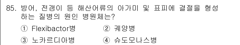 수산양식기사 2021년 85번 - 정답은 3번, 노키르디아병입니다. 이 병은 주로 해산어류에서 발생하며, ... 에 관한 핵심 기출문제