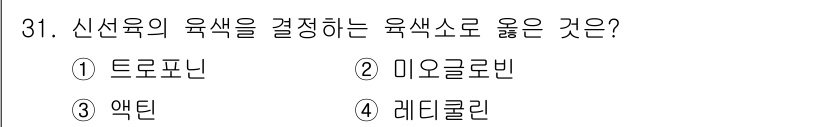 식육가공기사 2019년 31번 - 신선육의 육색을 결정하는 주요 요인은 미오글로빈입니다. 미오글로빈은 근육... 에 관한 핵심 기출문제