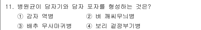 식물보호기사 2021년 11번 - 병원균이 감작기와 담자 포자를 형성하는 것은 버 석회무늬병입니다. 이 병... 에 관한 핵심 기출문제
