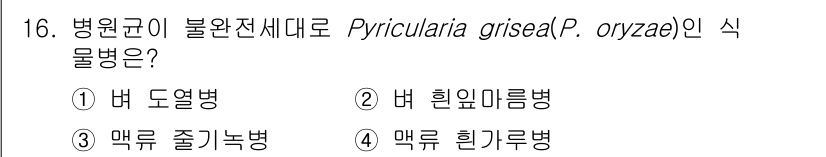 식물보호기사 2021년 16번 - Pyricularia grisea (P. oryzae)은 주로 벼의 잎에... 에 관한 핵심 기출문제