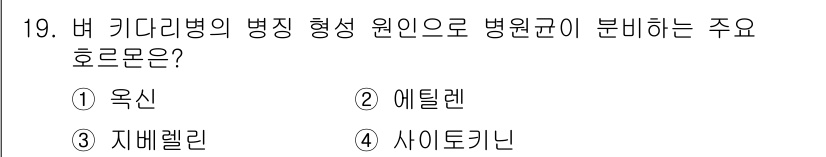 식물보호기사 2021년 19번 - . 자벨레린  
자벨레린은 식물의 생장 조절 호르몬으로, 병원균의 감염과... 에 관한 핵심 기출문제