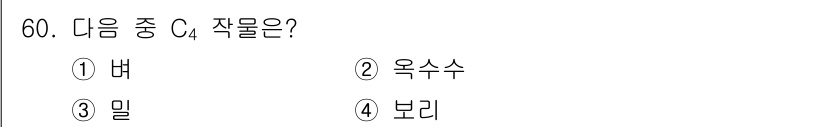 식물보호기사 2021년 60번 - 정답은 2. 옥수수입니다. 옥수수는 C4 광합성 경로를 사용하는 대표적인... 에 관한 핵심 기출문제