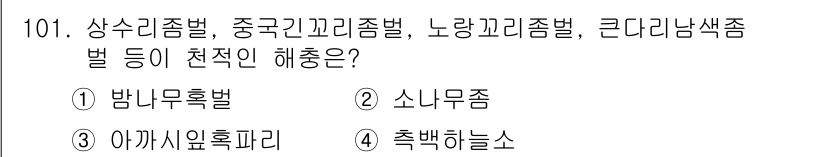조경기사 2021년 102번 - 정답은 3번 '축백하늘소'입니다. 상수리종벌, 중국산꼬리종벌, 노랑고리종... 에 관한 핵심 기출문제