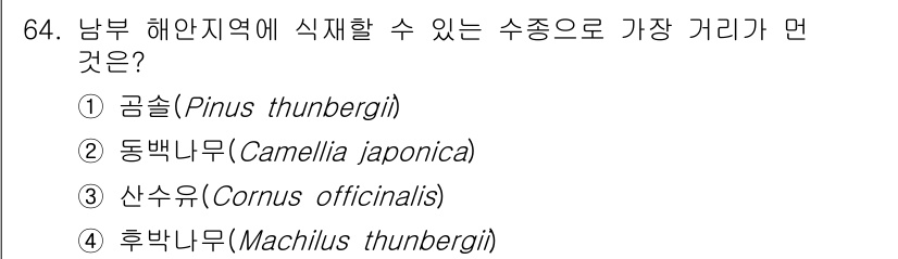조경기사 2021년 65번 - 정답은 1. 곰솔(Pinus thunbergii)입니다. 곰솔은 남부 해... 에 관한 핵심 기출문제