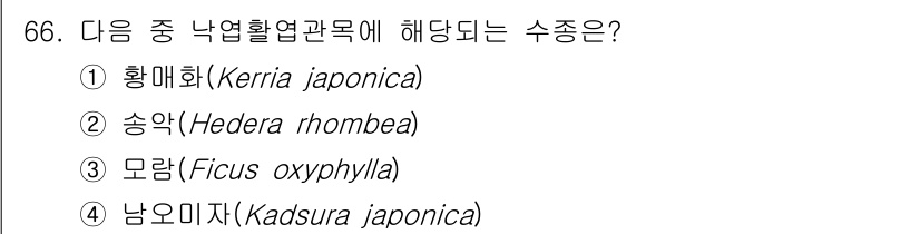 조경기사 2021년 67번 - 정답은 2번 송악(Hedera rhombea)입니다. 송악은 낙엽활엽관목... 에 관한 핵심 기출문제