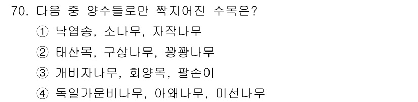 조경기사 2021년 71번 - . 

정답인 이유는 개비자나무, 희양무, 팔순이가 짝수로 자란 수목들이... 에 관한 핵심 기출문제