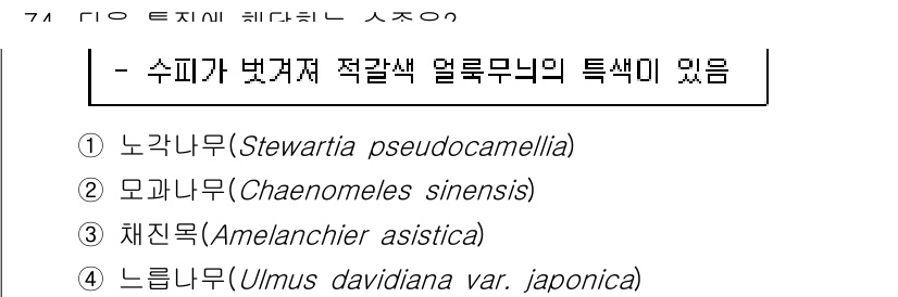 조경기사 2021년 75번 - 수피가 벗겨져 적갈색을 띠는 덜꽝무늬의 특징은 체치나무(Amelanchi... 에 관한 핵심 기출문제