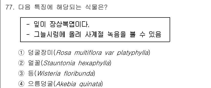 조경기사 2021년 78번 - 정답은 3번, 등나무(Wisteria floribunda)이다. 등나무는... 에 관한 핵심 기출문제