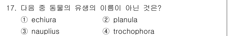 생물분류기사(동물) 2021년 17번 - 정답은 1번 echiuira입니다. 'Echiura'는 특정한 종류의 환... 에 관한 핵심 기출문제
