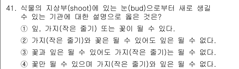 생물분류기사(동물) 2021년 41번 - 식물의 지상부에서 발생하는 새 가지는 눈(bud)에서 나와 다양한 형태를... 에 관한 핵심 기출문제