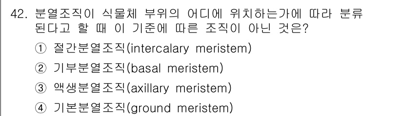생물분류기사(동물) 2021년 42번 - 기분열조직(ground meristem)은 분열조직의 한 종류가 아니라,... 에 관한 핵심 기출문제