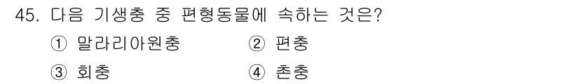 생물분류기사(동물) 2021년 45번 - 편형동물에는 체외에 평평한 형태를 가지고 있는 다양한 생물들이 포함됩니다... 에 관한 핵심 기출문제