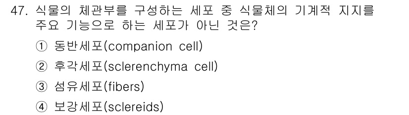 생물분류기사(동물) 2021년 47번 - . 동반세포(companion cell)

정답인 이유: 동반세포는 주로... 에 관한 핵심 기출문제
