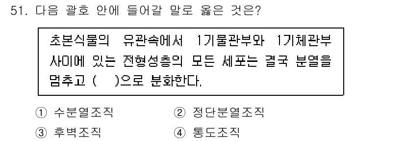 생물분류기사(동물) 2021년 51번 - 초분식물의 유관속에서 1기물관부와 1기체관부 사이에 있는 전형성층의 모든... 에 관한 핵심 기출문제