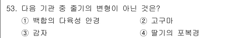 생물분류기사(동물) 2021년 53번 - 정답은 2번 고구마입니다. 고구마는 식물에 해당하며, 백합과는 유사한 구... 에 관한 핵심 기출문제