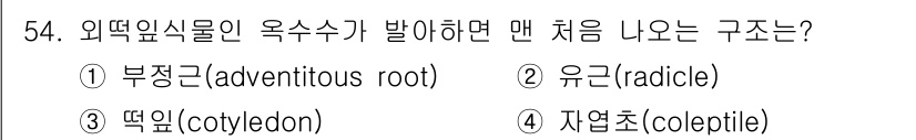 생물분류기사(동물) 2021년 54번 - 정답은 2번 유근(radicle)입니다. 유근은 씨앗에서 최초로 발달하는... 에 관한 핵심 기출문제