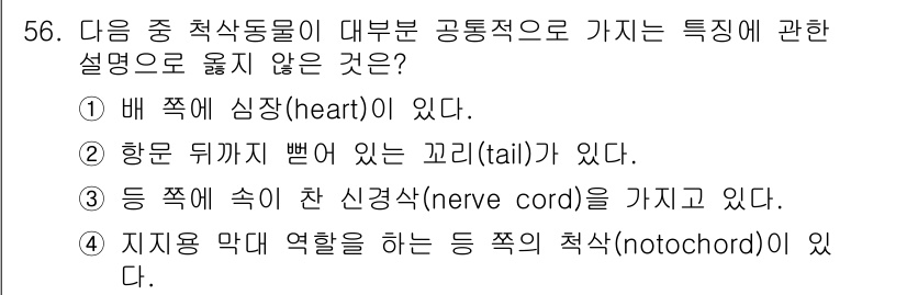 생물분류기사(동물) 2021년 56번 - 척삭동물의 특징은 배쪽에 심장이 존재하는 것이 아니라 등쪽에 심장이 위치... 에 관한 핵심 기출문제