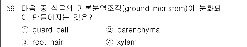 생물분류기사(동물) 2021년 59번 - 기본분열조직(ground meristem)은 주로 파렌키마(Parench... 에 관한 핵심 기출문제