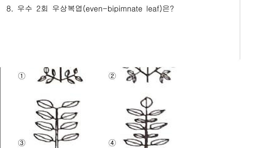 생물분류기사(동물) 2021년 8번 - 우수 2회 우상복엽은 정중선에 대해 대칭적인 두 쌍의 작은 잎이 나오는 ... 에 관한 핵심 기출문제