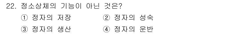 축산기사 2021년 22번 - 정소상체의 기능 중 '정자의 생산'은 주로 고환에서 이루어지며, 정소상체... 에 관한 핵심 기출문제