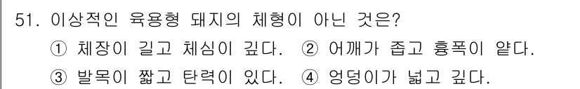 축산기사 2021년 51번 - . 어깨가 좁고 훌륭하지 않다.

해설: 육용형 돼지는 발달한 어깨와 넓... 에 관한 핵심 기출문제