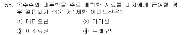 축산기사 2021년 55번 - . 라이신  
라이신은 돼지의 성장과 면역에 필수적인 아미노산으로, 육류... 에 관한 핵심 기출문제