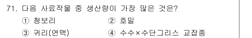 축산기사 2021년 71번 - 수수와 수단그라스의 교잡종은 높은 생육성과 생산성을 가지고 있어 사료로서... 에 관한 핵심 기출문제
