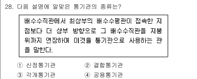 건축설비기사 2021년 28번 - 문제에서 언급된 통기관의 종류는 배수수직관에서 배수수평관이 접속하는 지점... 에 관한 핵심 기출문제