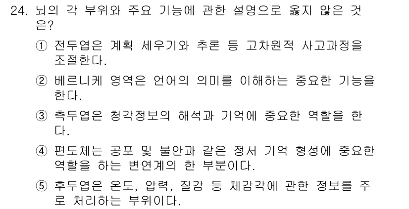 청소년상담사_3급(2교시)(구) 2021년 24번 - 후두엽은 주로 시각 정보를 처리하는 역할을 하며, 온도나 압력과 같은 감... 에 관한 핵심 기출문제