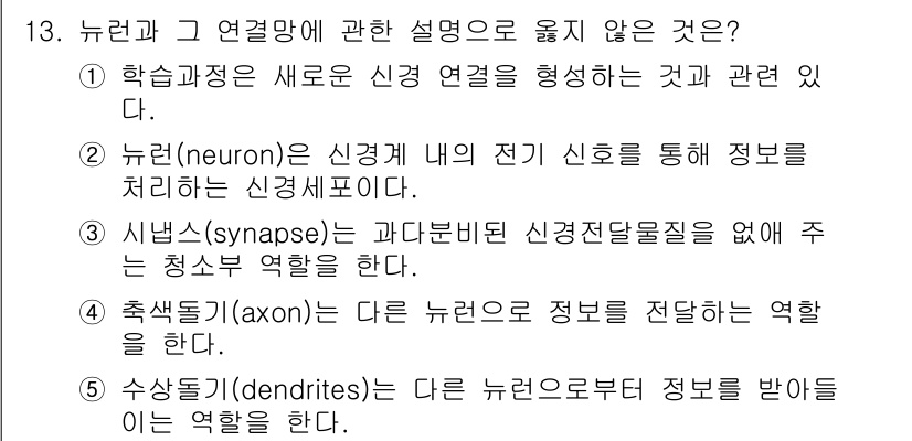 청소년상담사_3급(2교시) 2021년 13번 - . 뉴런의 전기 신호는 시냅스를 통해 전달되지만, 신경 연접의 형성은 주... 에 관한 핵심 기출문제