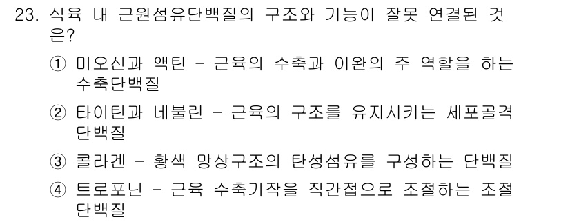식육가공기사 2021년 23번 - . 

콜라겐은 육류의 구조적 지지 역할을 하며, 이는 식육의 식감과 품... 에 관한 핵심 기출문제