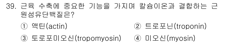 식육가공기사 2021년 39번 - 정답은 2. 트로포닌(troponin)입니다. 트로포닌은 근육 수축에서 ... 에 관한 핵심 기출문제