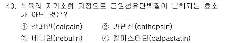 식육가공기사 2021년 40번 - 정답은 ③ 네불린(nebulin)입니다. 네불린은 근육의 구조를 구성하는... 에 관한 핵심 기출문제