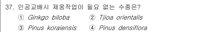 임업종묘기사 2015년 37번 - 정답은 1번 Ginkgo biloba입니다. 이유는 Ginkgo bilo... 에 관한 핵심 기출문제