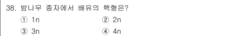 임업종묘기사 2015년 38번 - 밤나무 종자의 배유는 3n 형태로, 이 과정에서 분리한 배유는 삼배체입니... 에 관한 핵심 기출문제