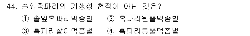 임업종묘기사 2015년 44번 - . 혹피원형별먹줍법은 소나무에 특화된 방법이 아니며, 다른 수종에 적용되... 에 관한 핵심 기출문제