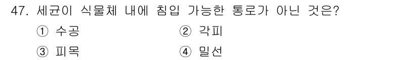 임업종묘기사 2015년 47번 - . 각피

각피는 나무의 외부를 보호하는 역할을 하며, 물리적이거나 생물... 에 관한 핵심 기출문제